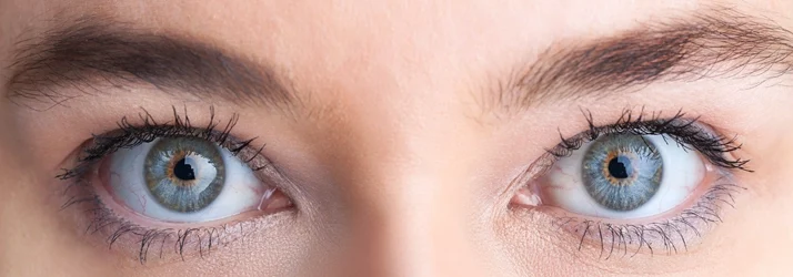 Eye Doctor Sault Ste. Marie MI Eyes Close up of a woman's eyes.